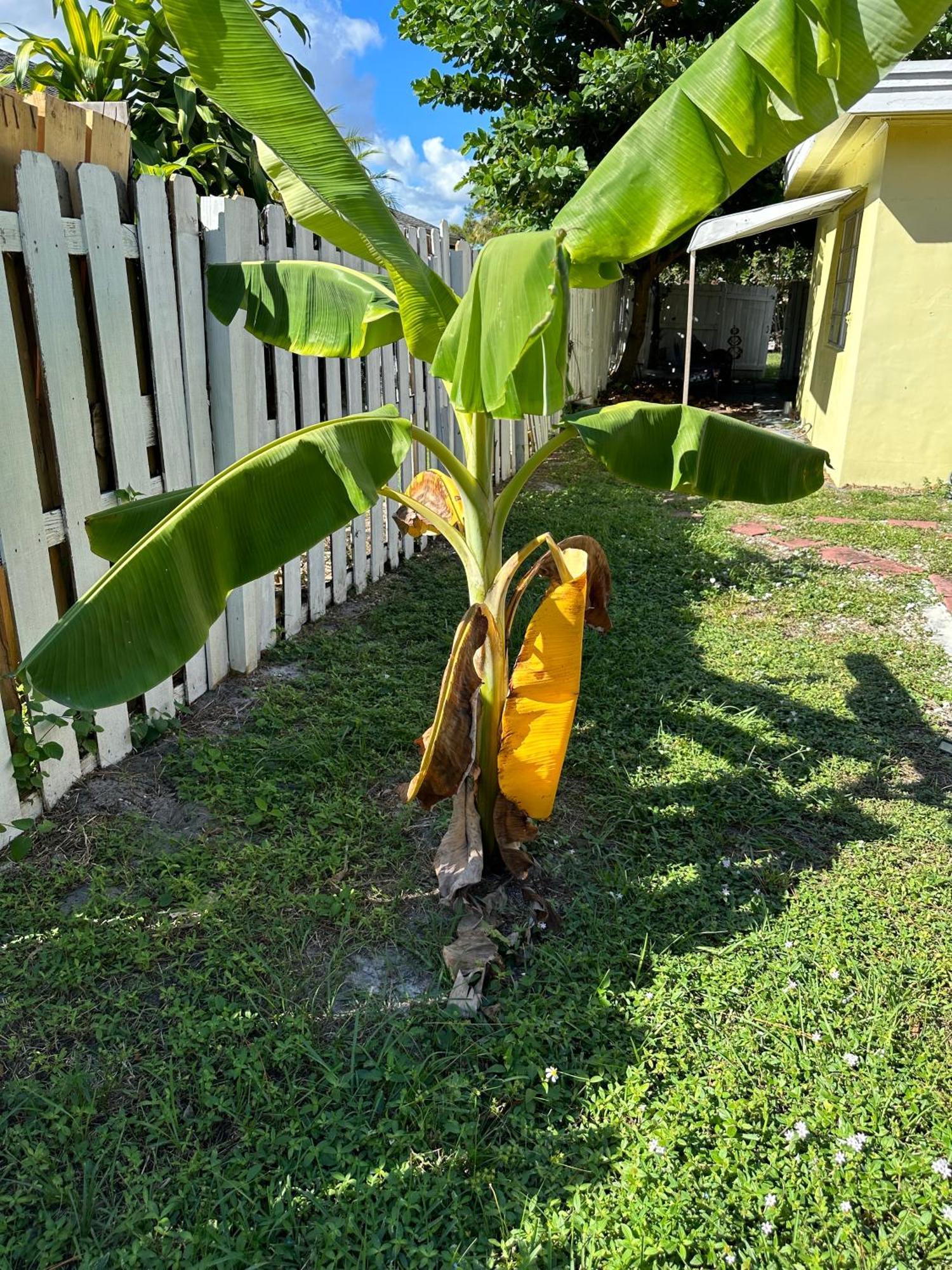 3 Bedroom House Fenced Backyard Private Patio Areas Grill Firepit Plenty Parking! Quick Access 10 Min To Beach Airport Delray West Palm Lake Worth Beach Exterior foto